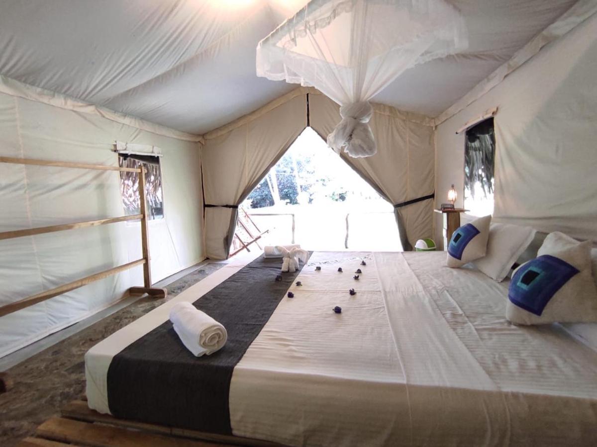 Jungle View River Camping 우다왈라웨 외부 사진