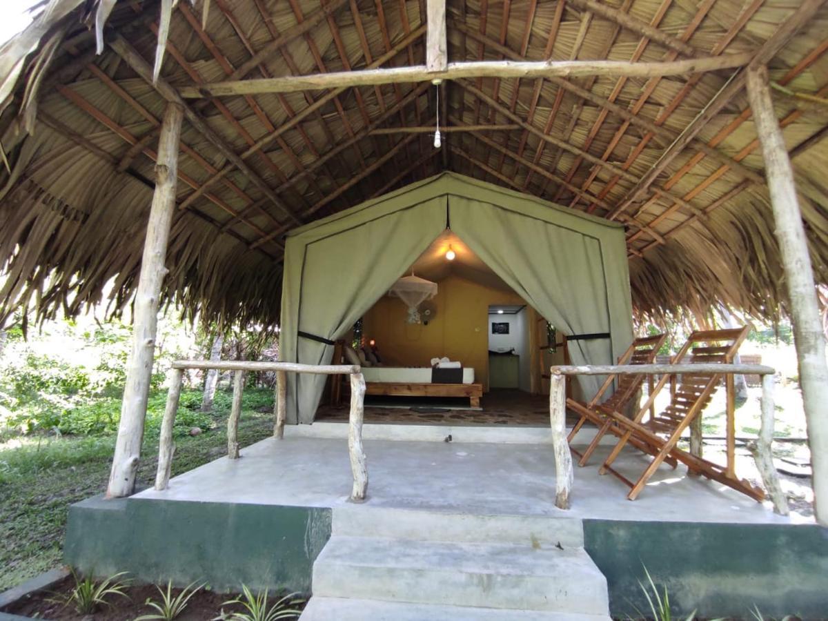 Jungle View River Camping 우다왈라웨 외부 사진
