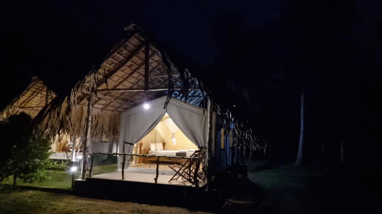 Jungle View River Camping 우다왈라웨 외부 사진
