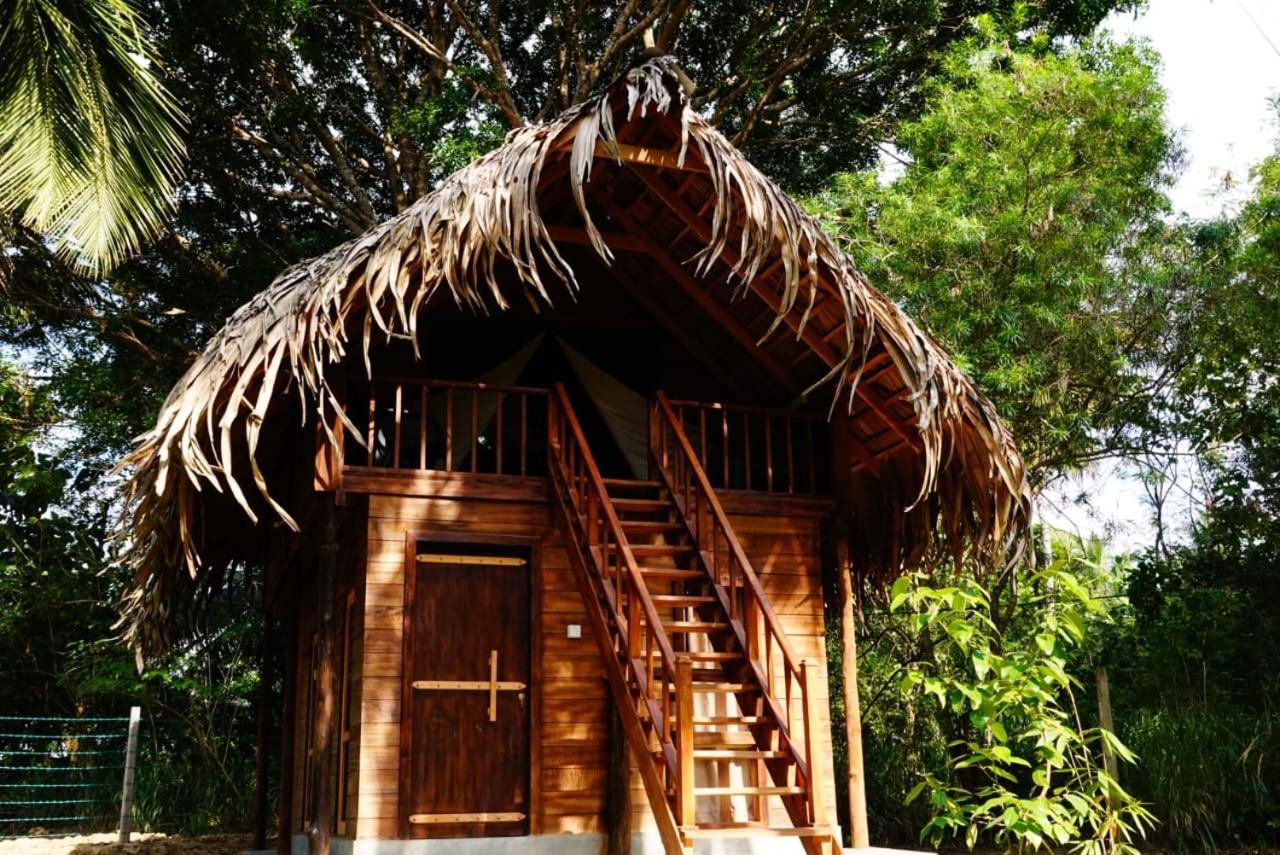 Jungle View River Camping 우다왈라웨 외부 사진