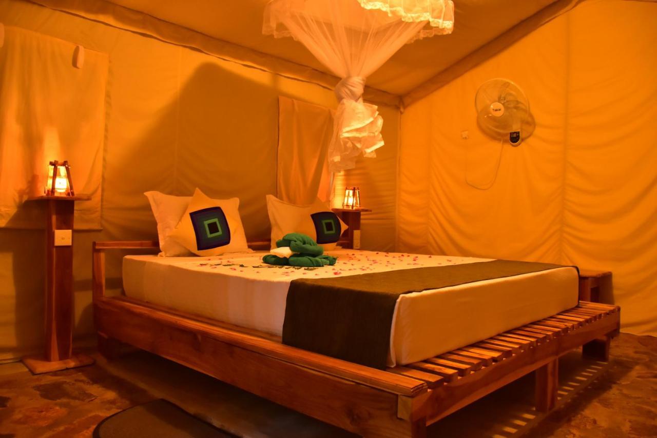 Jungle View River Camping 우다왈라웨 외부 사진