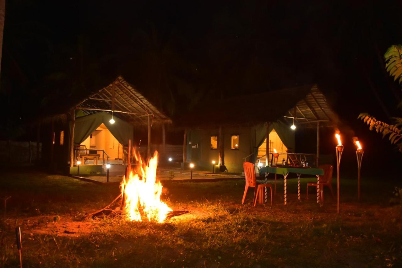 Jungle View River Camping 우다왈라웨 외부 사진