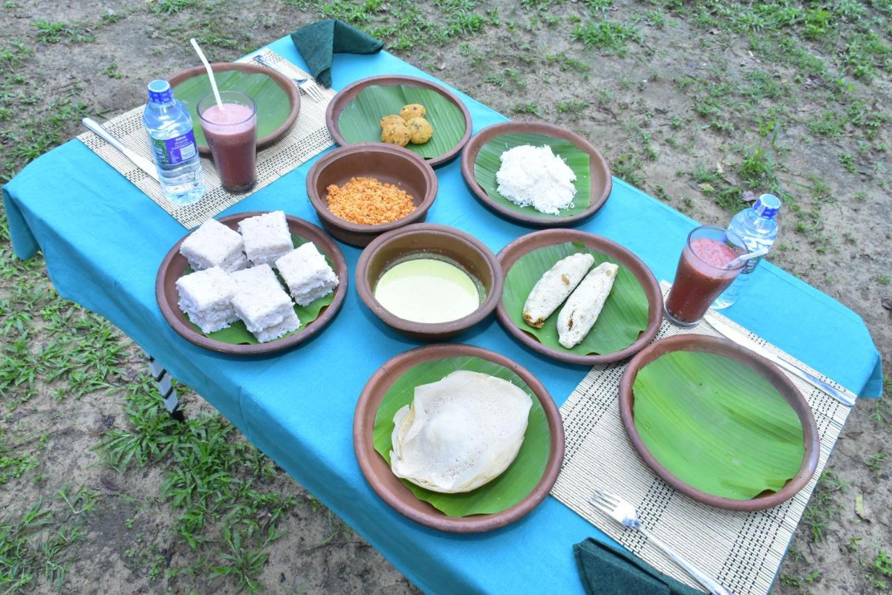 Jungle View River Camping 우다왈라웨 외부 사진